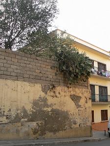 120 rue Kraft